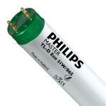 Philips MASTER TL-D ECO 51W - 865 Lumière Du Jour | 150cm